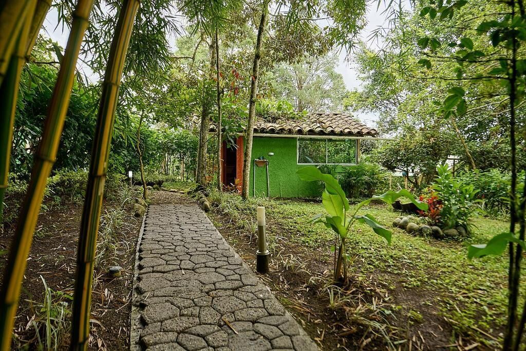 Habitación doble estándar, vista al jardín | Áreas de la propiedad