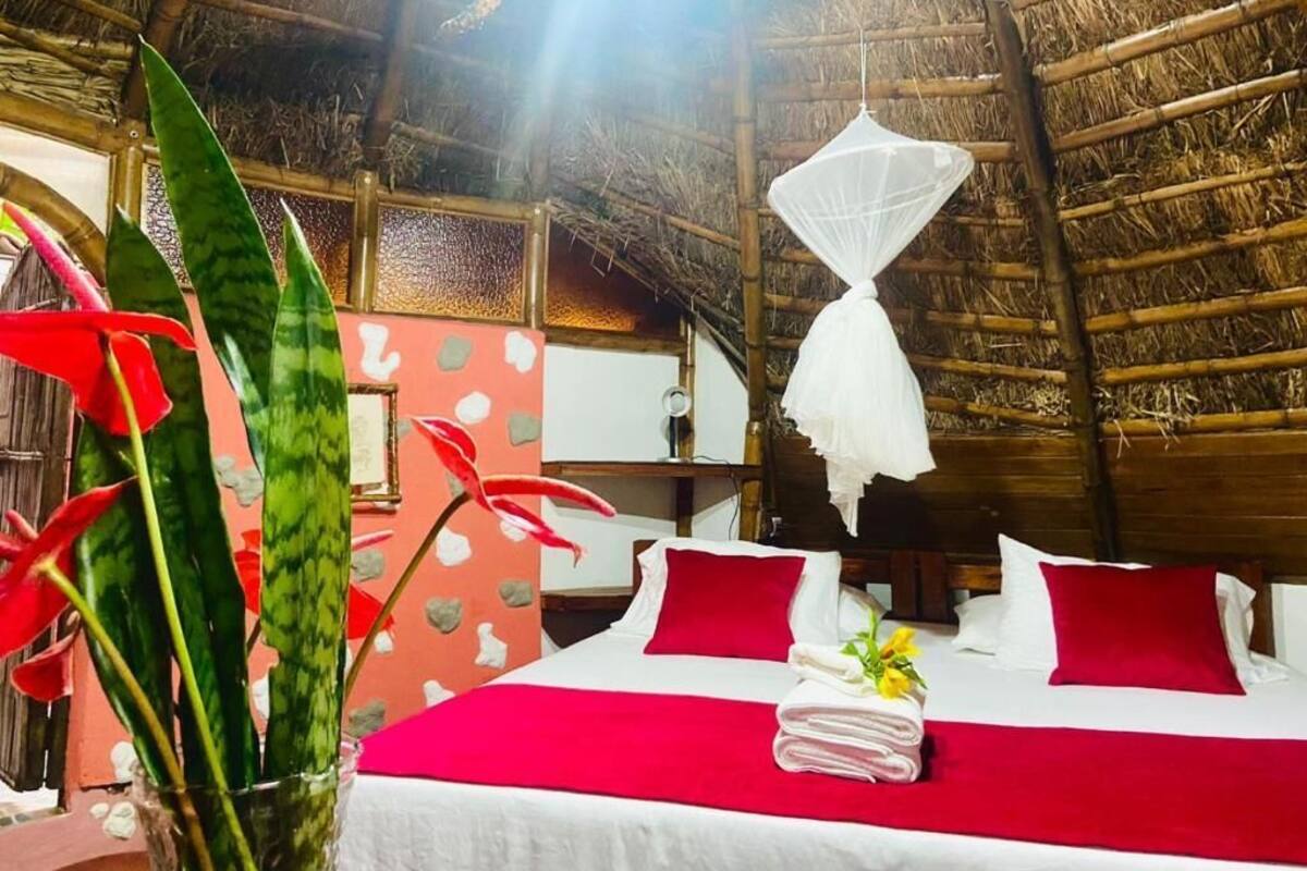 Une chambre d’hôtel avec un lit, des oreillers rouges, un baldaquin blanc et une plante.