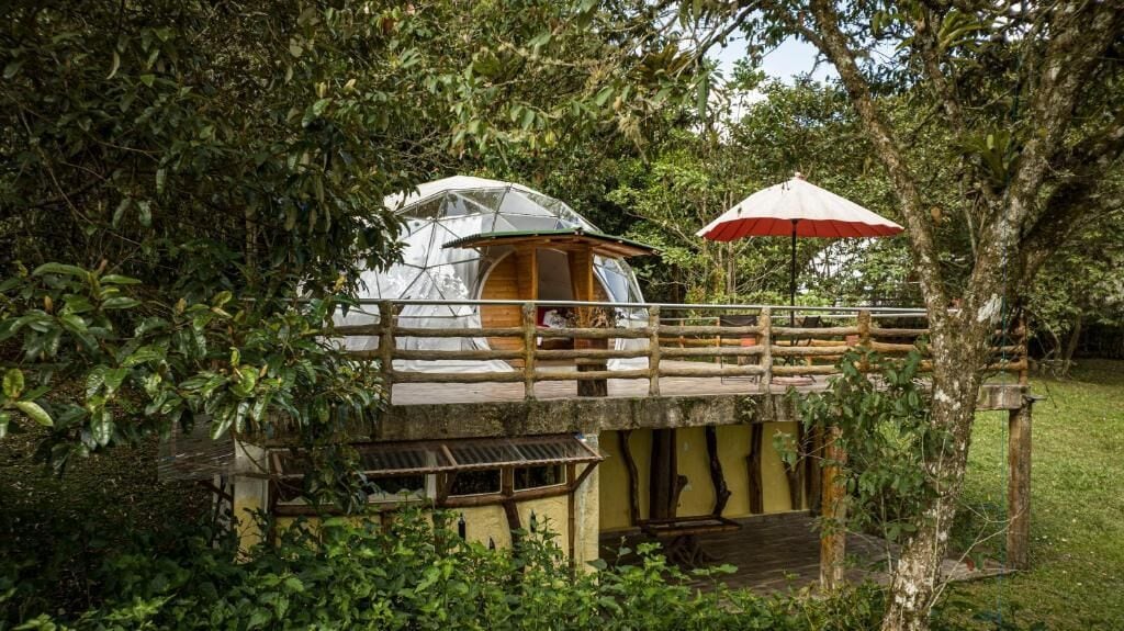 Bungalow Deluxe, patio, vue jardin | Terrasse/Patio