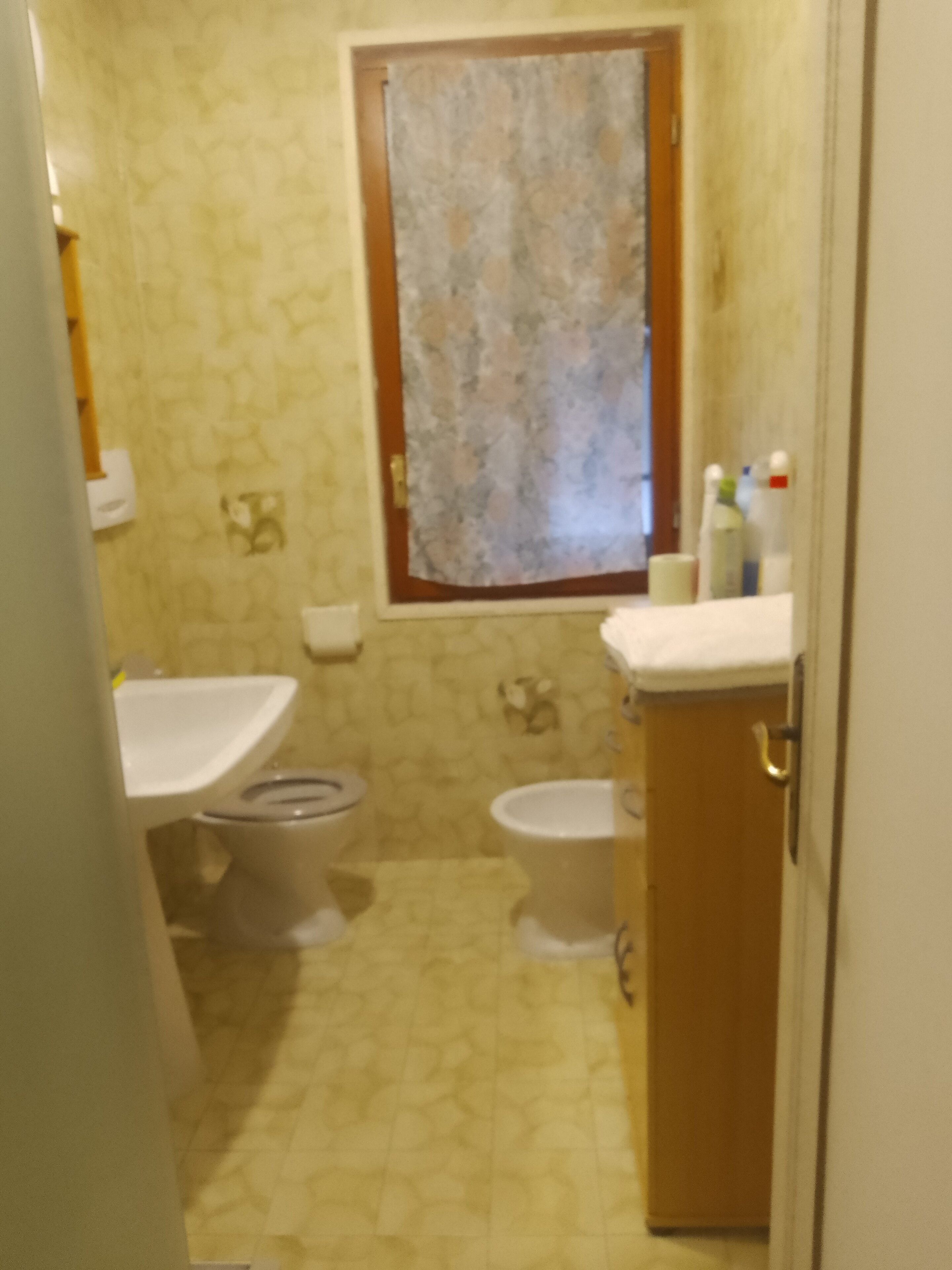 Ducha, secador de pelo, bidé y toallas