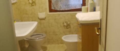 Shower, hair dryer, bidet, towels