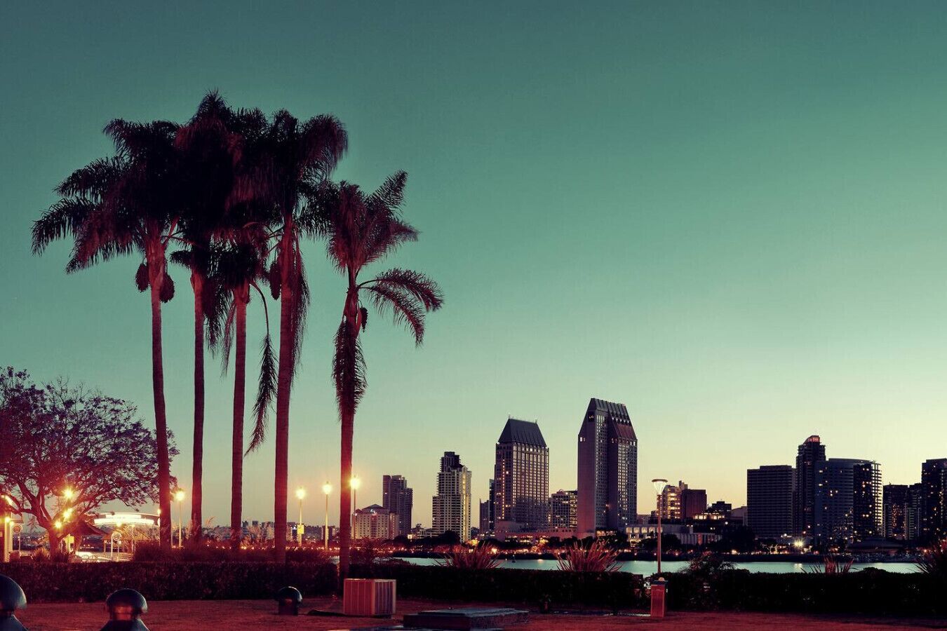 A city skyline with tall buildings and palm trees at dusk.