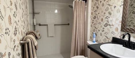 Shower, hair dryer, towels, soap