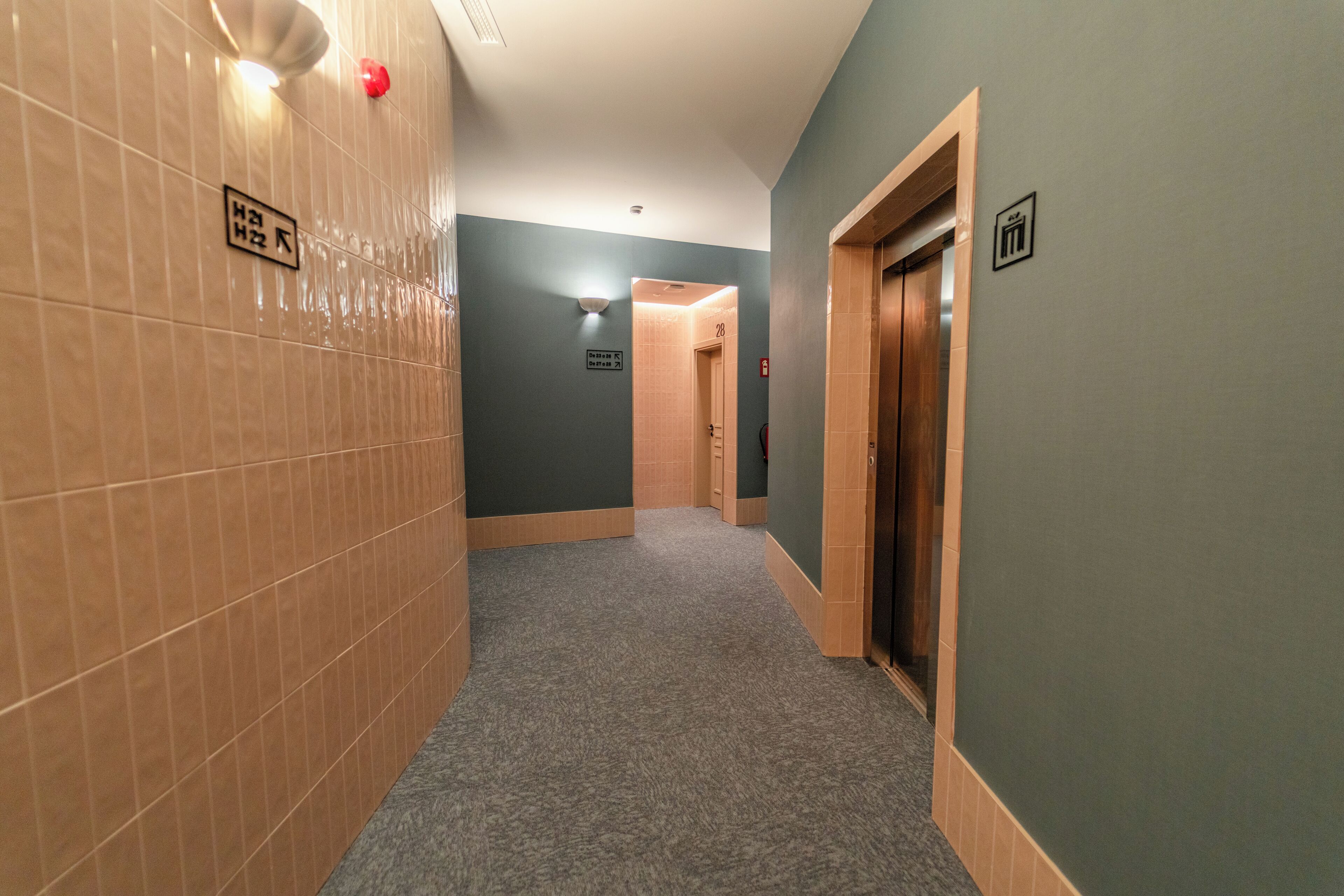 A hallway with tiled walls, a carpeted floor, and an elevator.