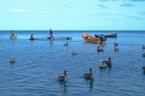 Mar tranquila con varios barcos y gente pescando.