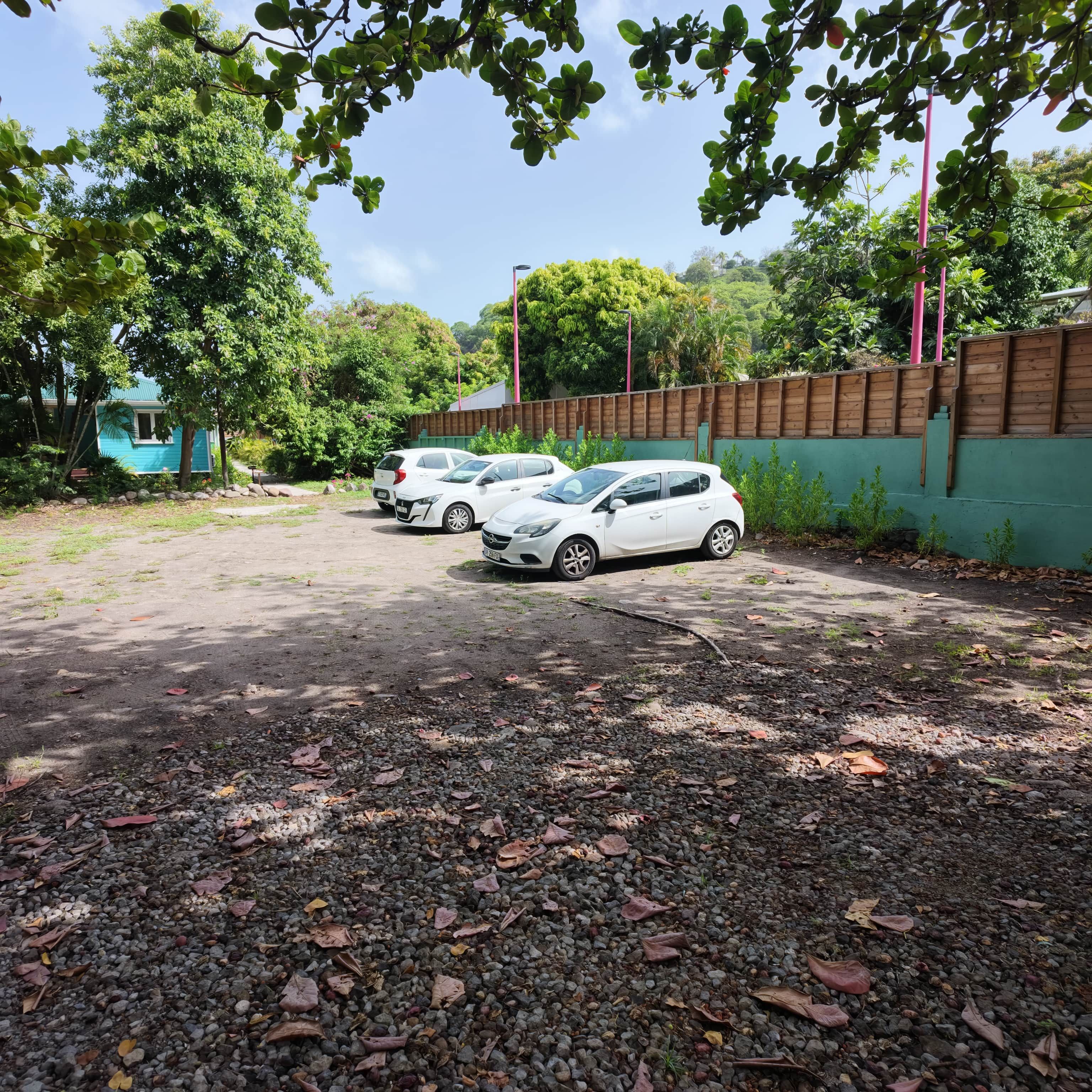 A parking area with three white cars, surrounded by trees and a green wall.