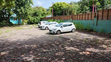A parking area with three white cars, surrounded by trees and a green wall.