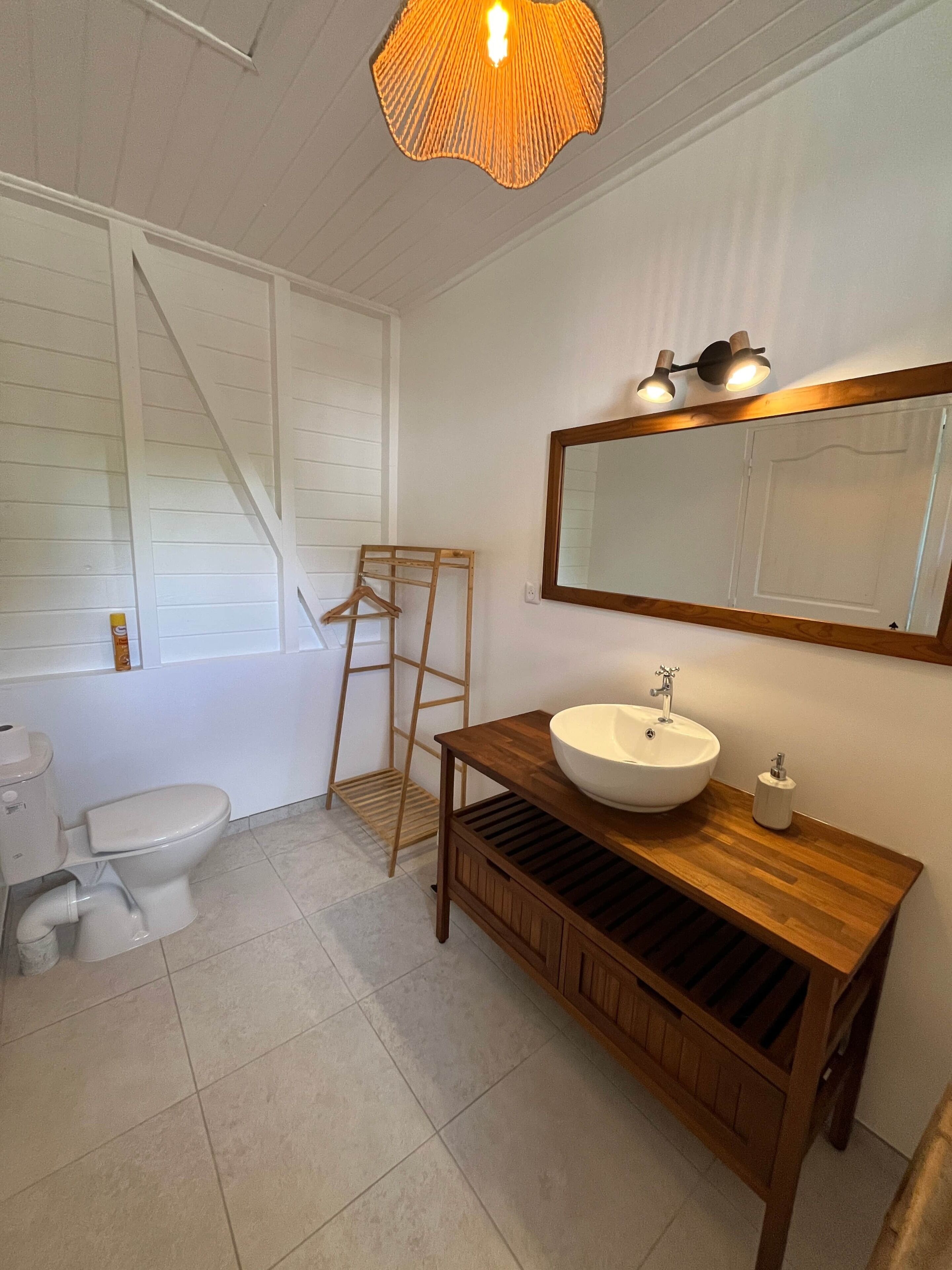Een badkamer met een wit toilet, een houten wastafelmeubel met een grote spiegel, en een houten ladder die tegen de muur staat.