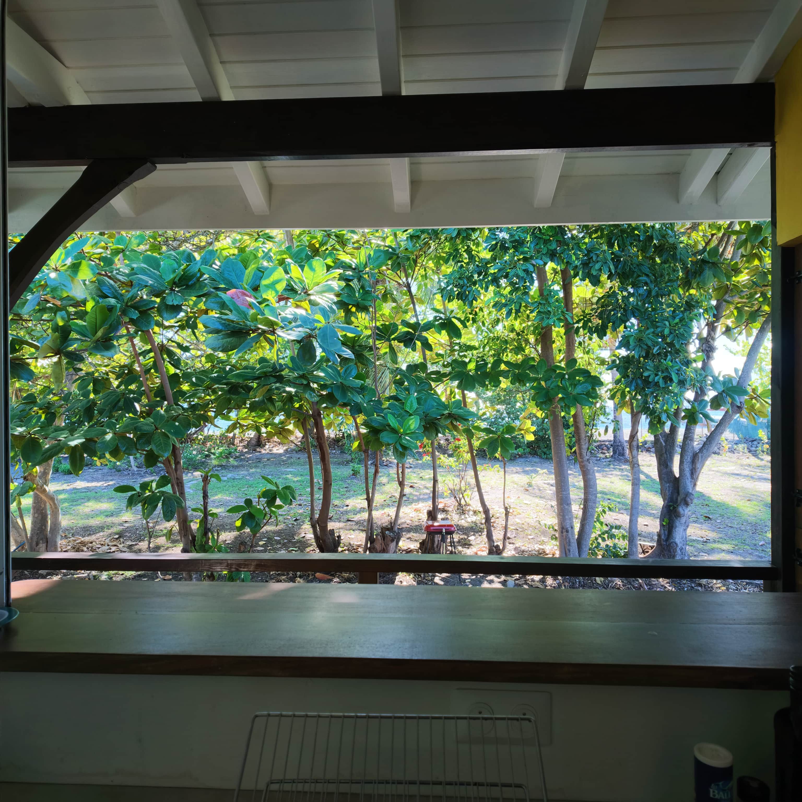 Ein Zimmer mit Blick auf einen Garten durch ein Fenster.