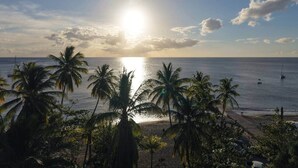 A beach with palm trees, a clear sky, and the sun setting over the ocean. - Beach bungalow: Barracuda (Le Carbet)