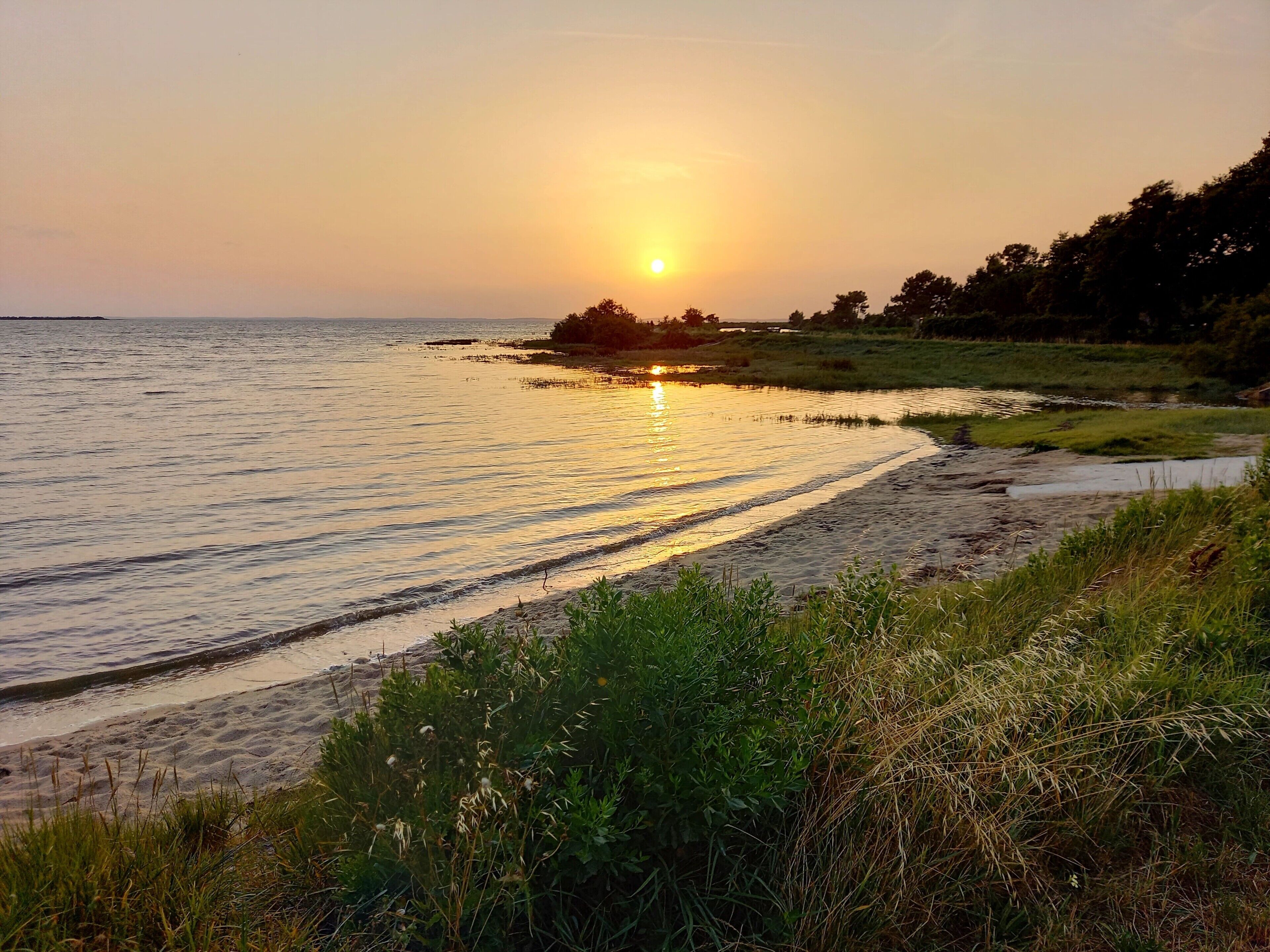 Una spiaggia nelle vicinanze