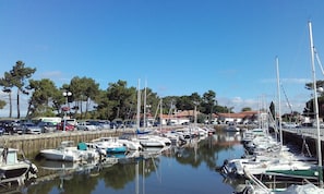 Puerto deportivo