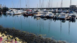A marina with various boats docked, calm water, and a rocky shoreline with some vegetation. - Tuskar Holiday Cottage, Mill Road Farm (Kilmore Quay)