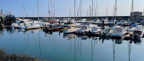 A marina with various boats docked, calm water, and a rocky shoreline with some vegetation.