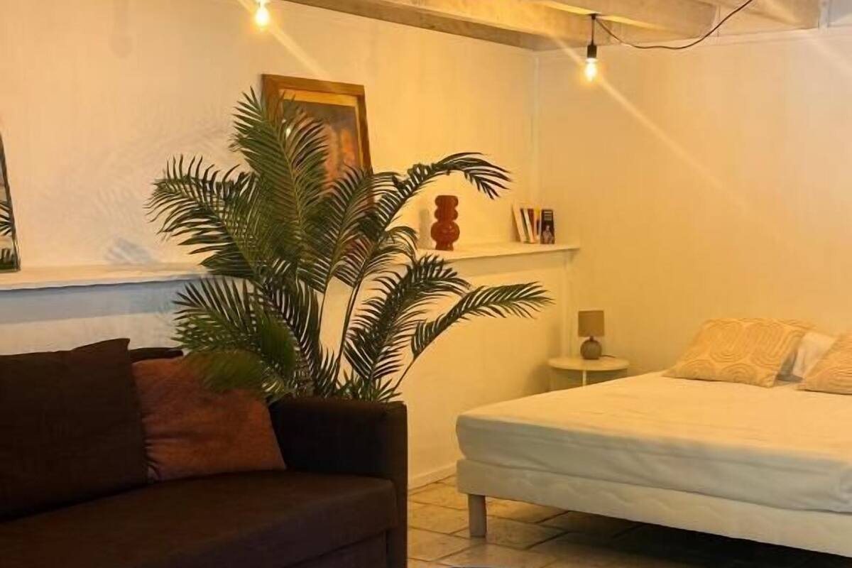 Ein gemütliches Zimmer mit einem braunen Sofa, einem kleinen runden Tisch, einem Bett und einer großen Kübelpflanze.