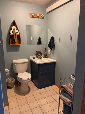 Hair dryer, towels, soap, toilet paper