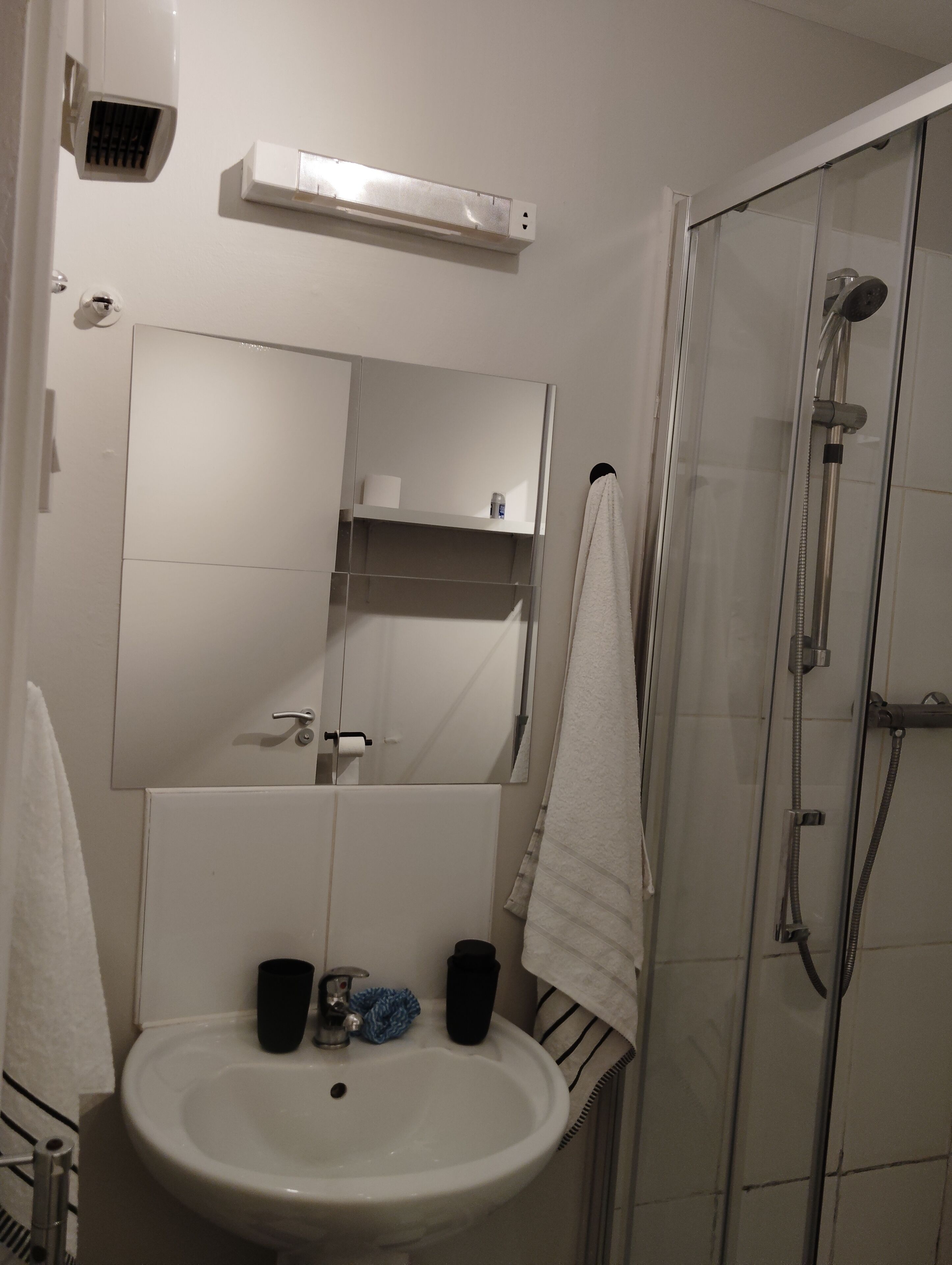 A bathroom with a sink, mirror, towel rack, and shower.