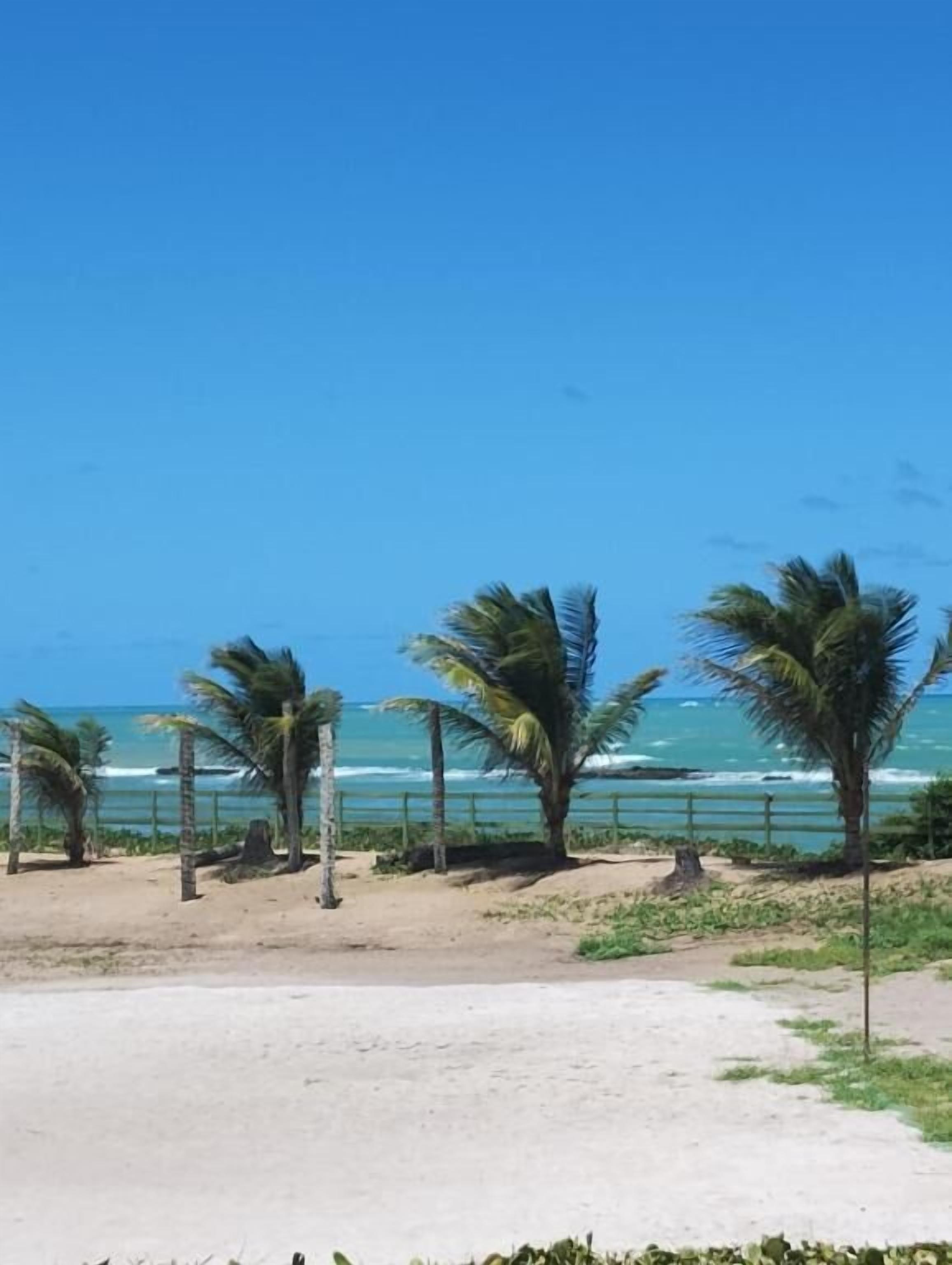 On the beach, 4 beach bars