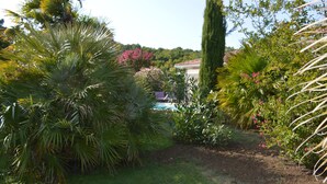 Um jardim com diversas plantas e uma piscina ao fundo.