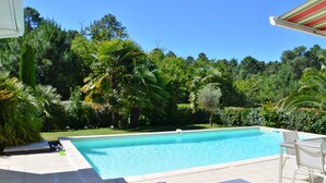 Piscina retangular com deck ladrilhado, rodeada por vegetação exuberante e palmeiras.
