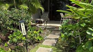 A garden pathway leading to a building with a glass door, surrounded by lush greenery and outdoor seating. - Walk out to a secluded beach, sea turtles and Maui sunsets - Oceanfront condo (Lahaina)