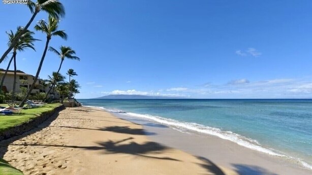 A beach with palm trees, a clear sky, and ocean waves. - Walk out to a secluded beach, sea turtles and Maui sunsets - Oceanfront condo (Lahaina)