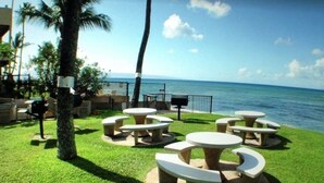 Outdoor seating with tables and benches, a palm tree, and a view of the ocean. - Walk out to a secluded beach, sea turtles and Maui sunsets - Oceanfront condo (Lahaina)