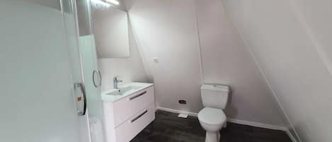 Shower, hair dryer, towels, toilet paper