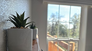 Una planta en maceta sobre un estante de madera, cerca de una ventana que ofrece vistas a una terraza y árboles.