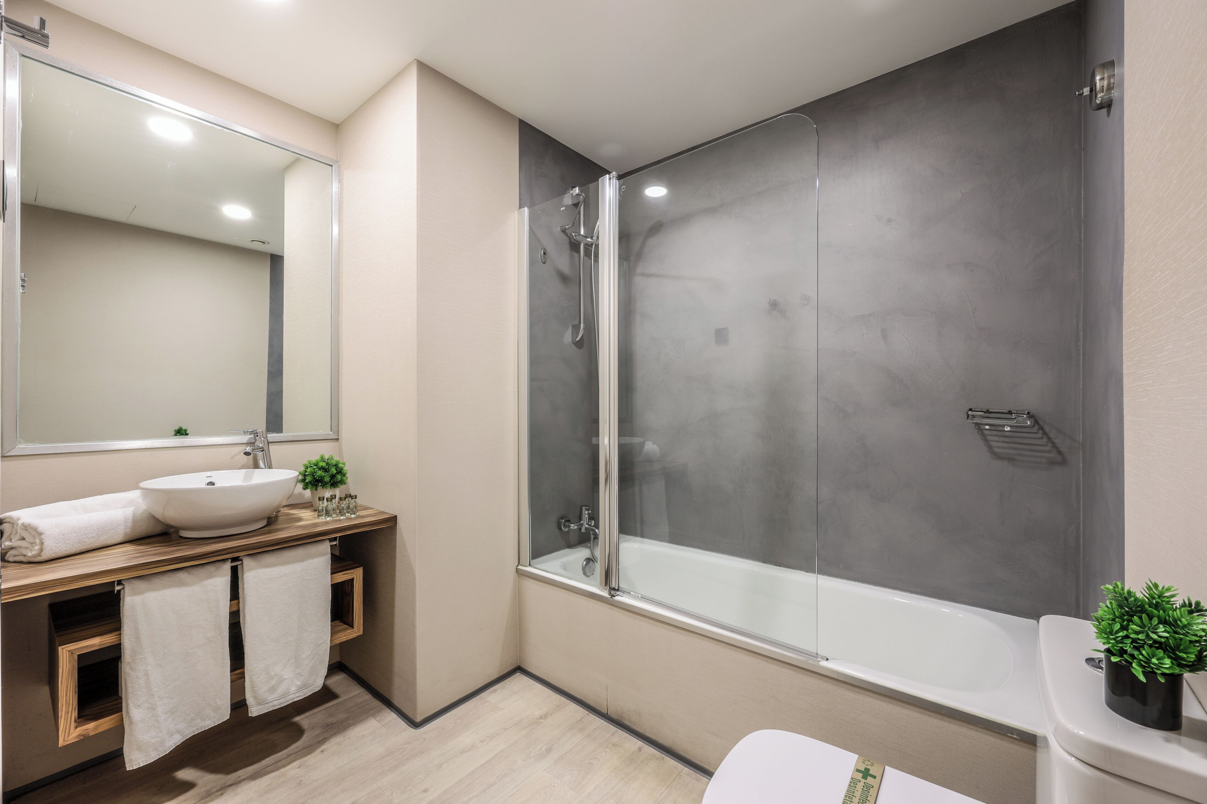 Habitación cuádruple económica | Baño | Toallas, jabón, champú y papel higiénico