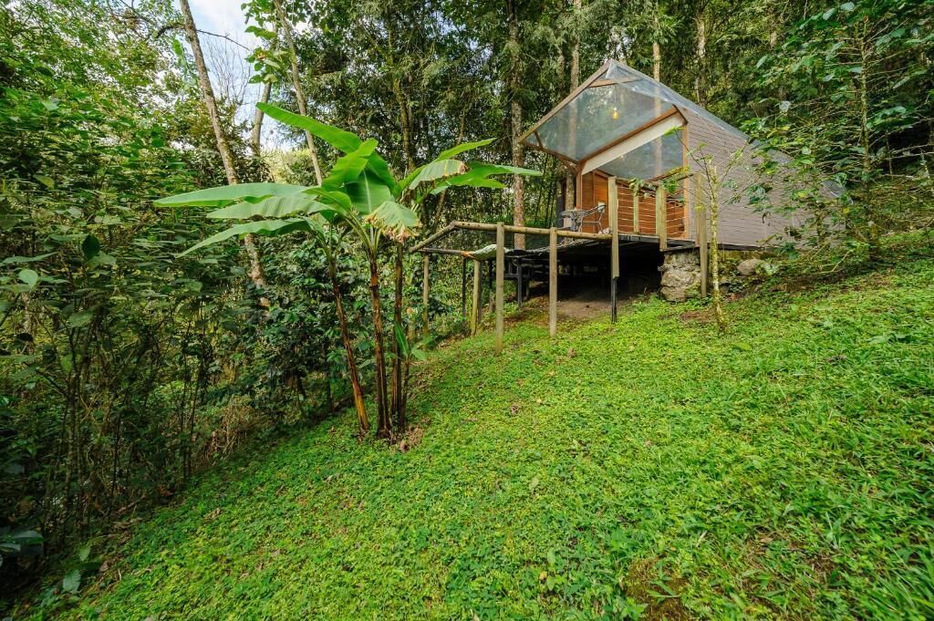 Family Cabin, Pets Allowed, River View | Exterior