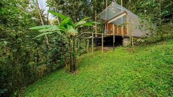 Family Cabin, Pets Allowed, River View | Exterior