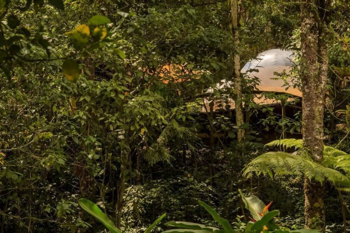 Junior Tent, Garden View | Miscellaneous