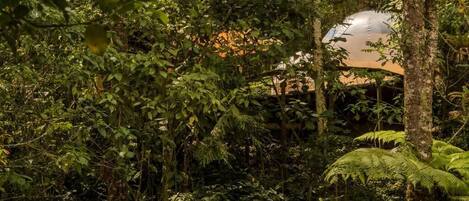 A dome-shaped building surrounded by dense tropical foliage.