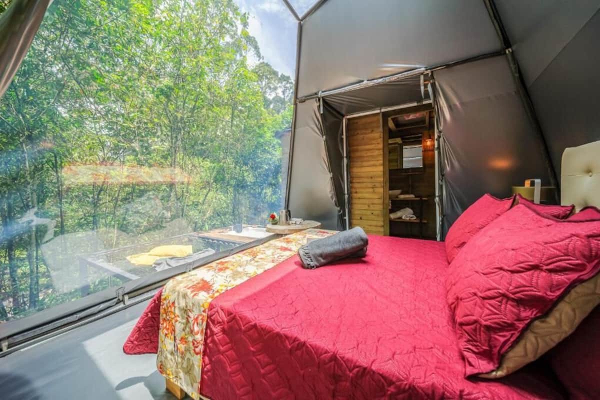 Eine Zelthütte mit Bett, kleinem Tisch und Fenster mit Blick auf einen Wald.