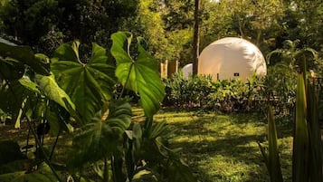 Design-telt - udsigt til flod | Overnatningsstedets område