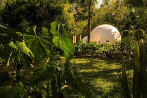 Design Tent, River View | Property grounds - Terramaga Glamping (San Francisco)