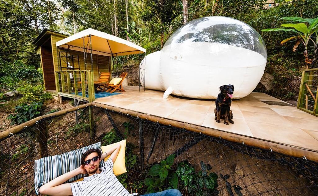A treehouse with a transparent dome structure, a wooden deck, and a hammock.