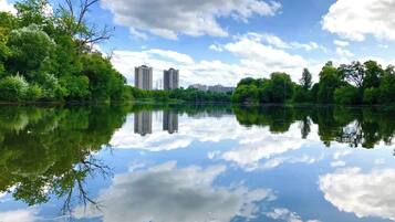 Ein ruhiger See mit Spiegelungen von Bäumen und Gebäuden, umgeben von Grün.