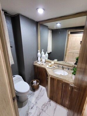 Ein Badezimmer mit Toilette, zwei Waschbecken, einem großen Spiegel und einem hölzernen Waschtisch.