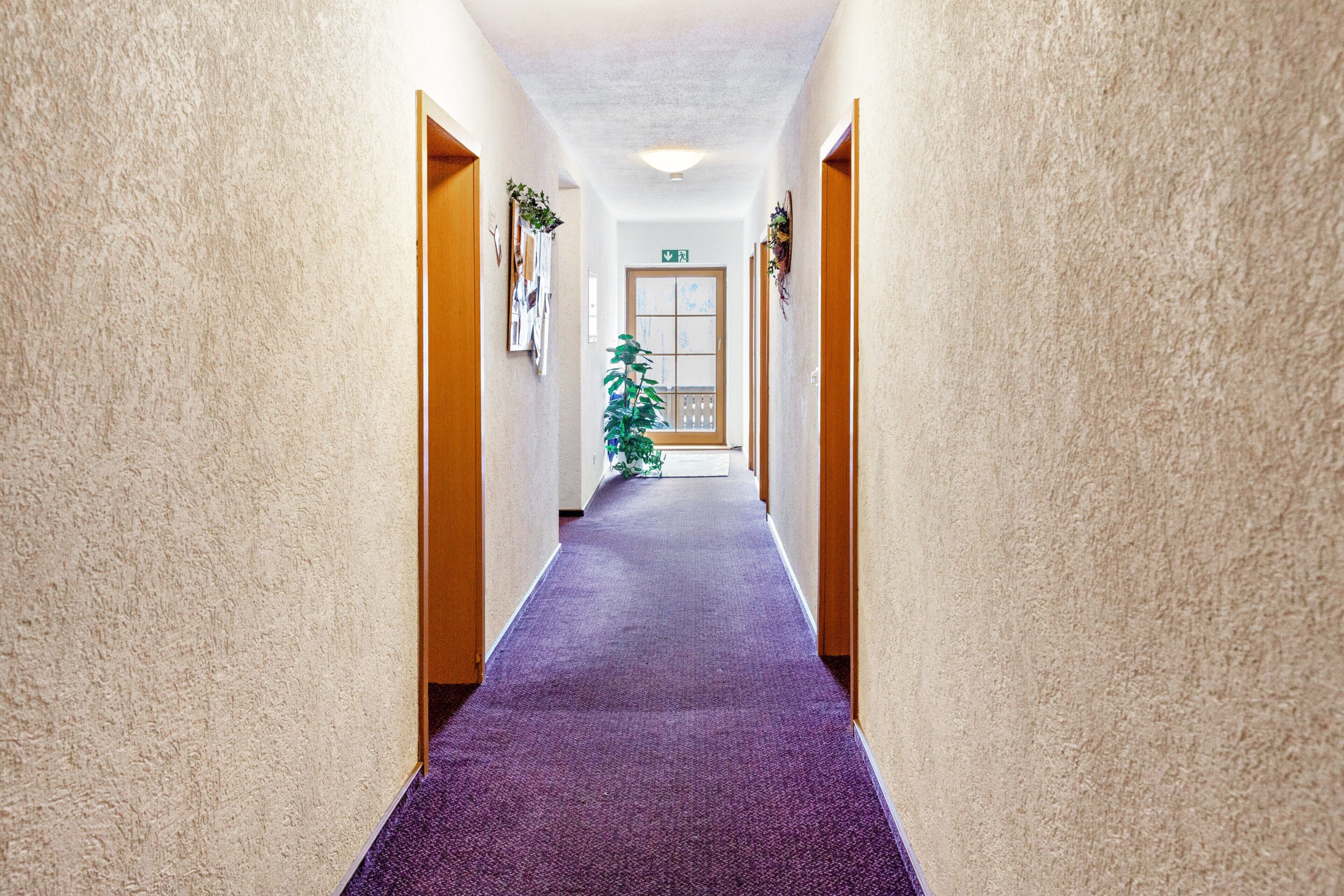 Un couloir avec une moquette violette, des portes en bois et une plante visible au loin.