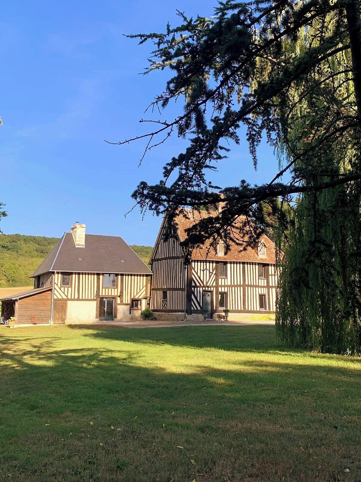 Image de profil de l’hôte