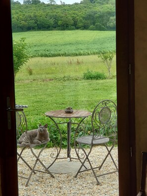 Blick durch eine offene Tür auf eine Terrasse mit Tisch und Stühlen, eine Katze und ein grünes Feld im Hintergrund.