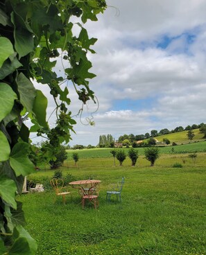 Un campo cubierto de césped con una mesa y sillas, una valla y árboles al fondo.