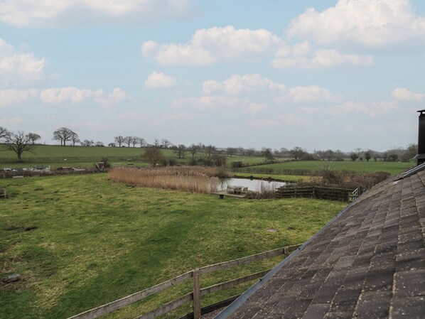 A rural landscape with a pond, grassy fields, and a few trees. - The Barn on The Lagoon (Droitwich)