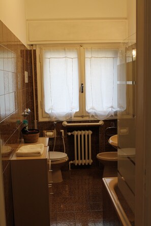 ヘアドライヤー、ビデ、タオル、石鹸