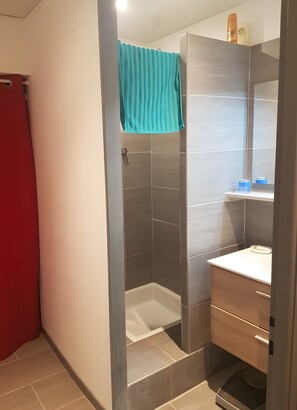 Regadera y secadora de cabello 