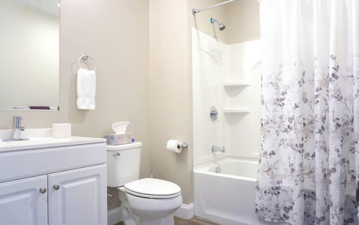 Shower, hair dryer, shampoo