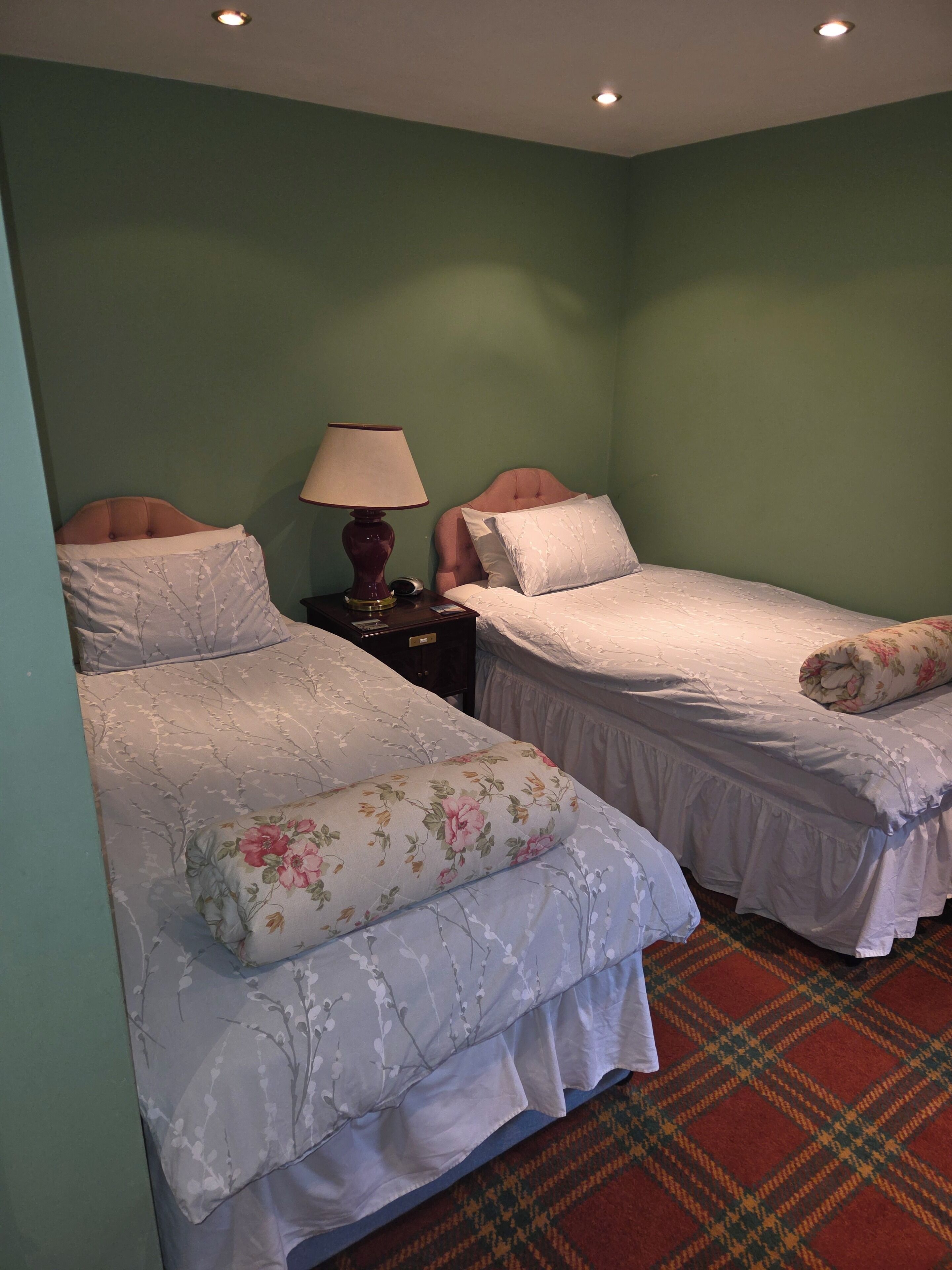 Laptop workspace, iron/ironing board, free WiFi, bed sheets