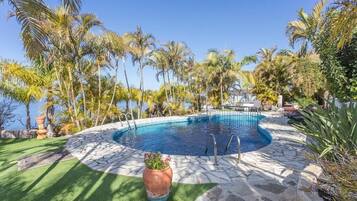 Una piscina circular con borde de piedra, rodeada de palmeras y césped.